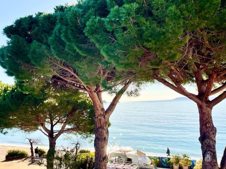 Appartement Les Pieds Dans L'Eau A Cavaliere Le Lavandou Exterior photo